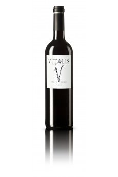 VINHO TINTO DO LIVRO "O Tesouro do mouro" D.O. TIERRA DE LEON