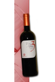 VINO ROSSO LIBRO "IL TESORO DEL MORO" D.O. TIERRA DE LEON